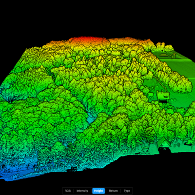 Screenshot-2025-05-11-120510-Trees
